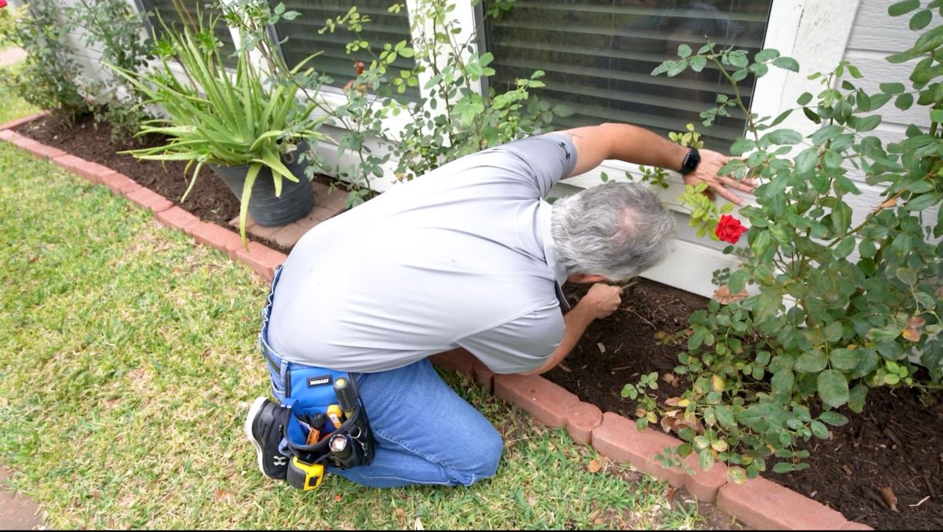 The Importance of a Termite Inspection When Purchasing a Home Diamond Head Inspection Services
